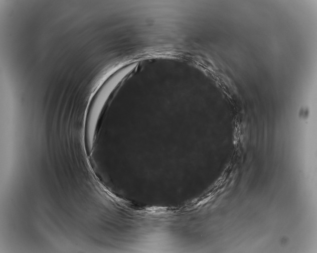 X0000097950052200804071015