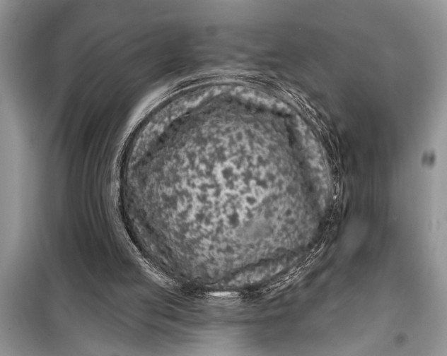 X0000097950053200804071015