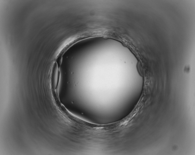 X0000097950054200804071015