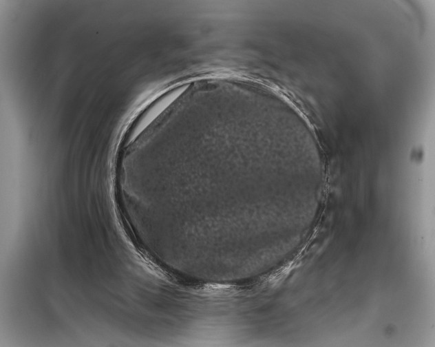 X0000097950055200804071015