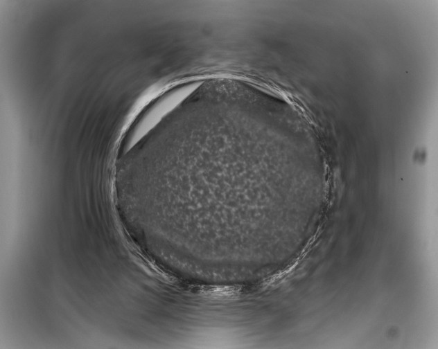 X0000097950056200804071015