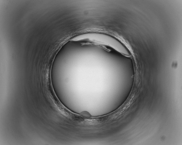 X0000097950057200804071015