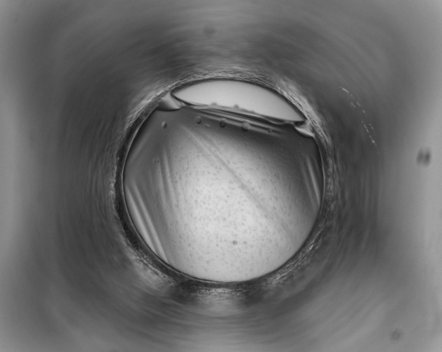 X0000097950058200804071015
