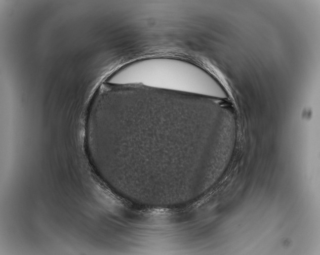X0000097950059200804071015