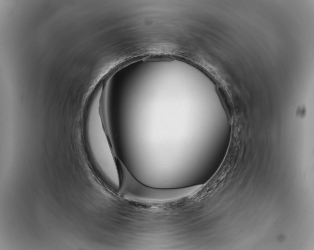 X0000097950060200804071015