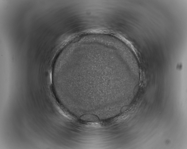 X0000097950061200804071015