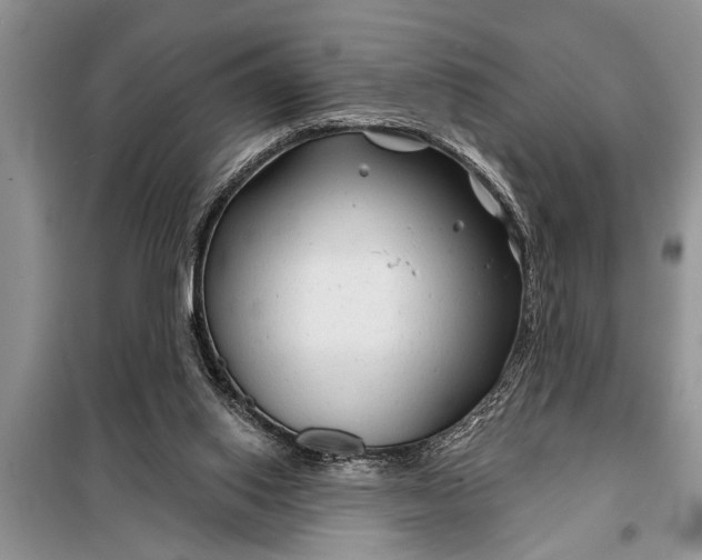 X0000097950062200804071015