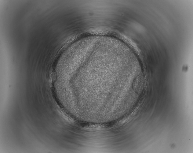 X0000097950065200804071015