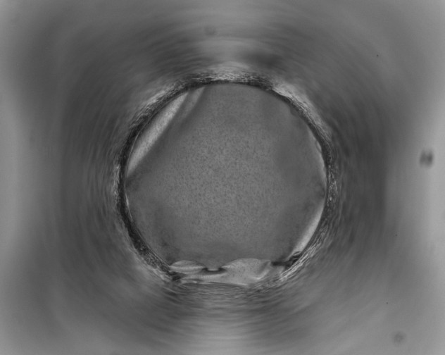 X0000097950066200804071015
