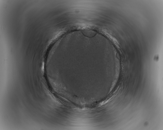 X0000097950067200804071015