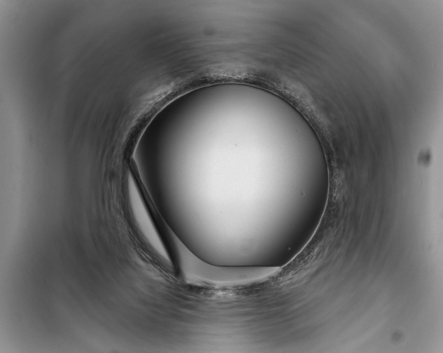 X0000097950068200804071016