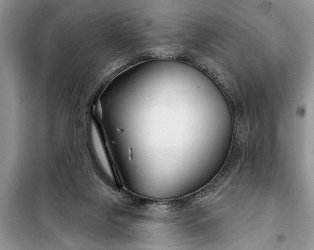 X0000097950071200804071016