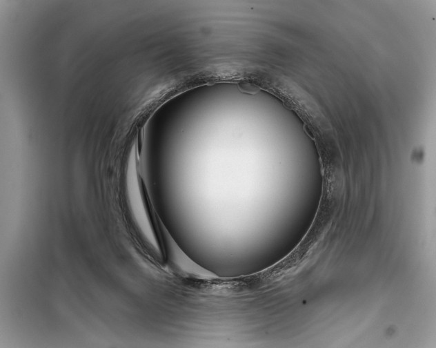 X0000097950072200804071016