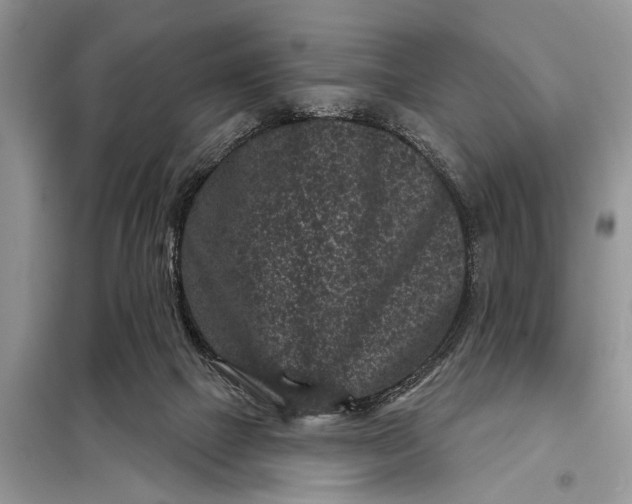 X0000097950073200804071016