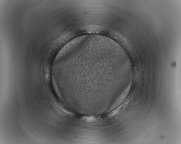 X0000097950074200804071016