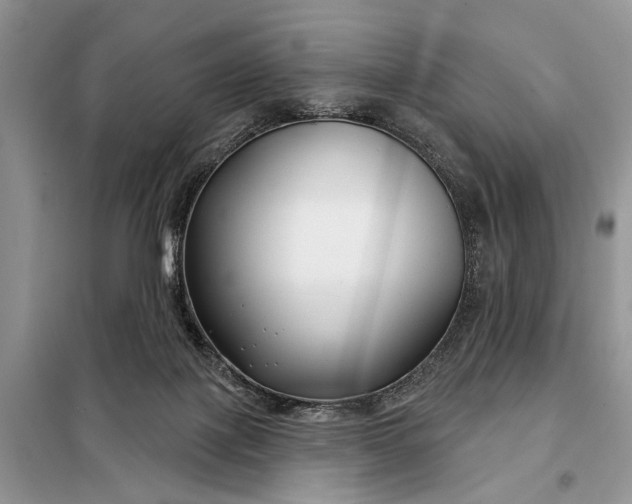 X0000097950075200804071016