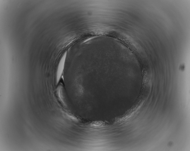 X0000097950076200804071016