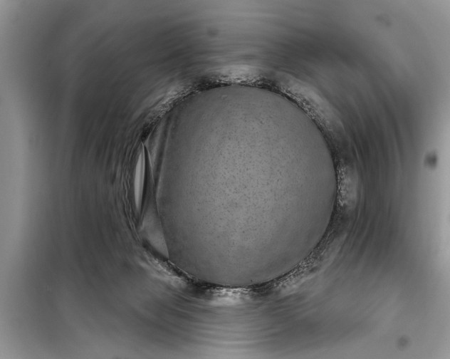 X0000097950077200804071016