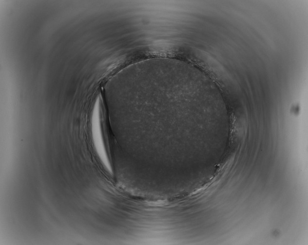 X0000097950080200804071016