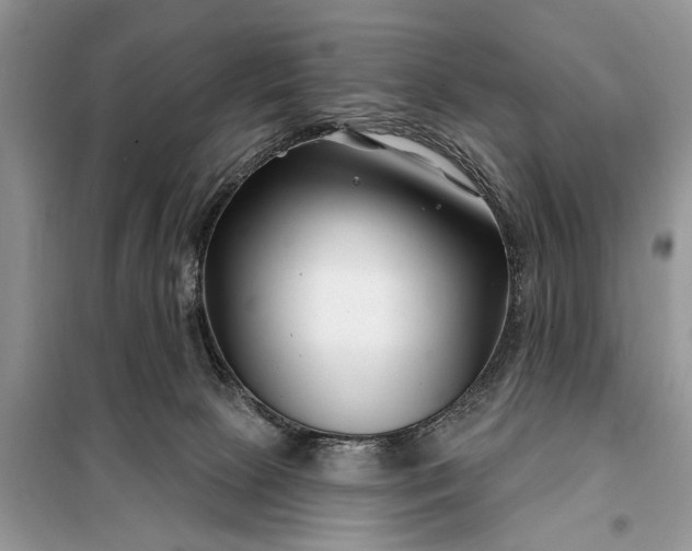 X0000097950081200804071016
