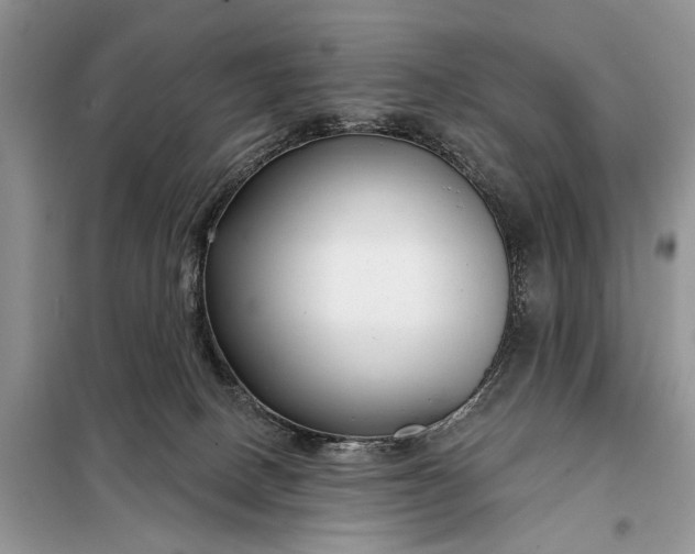 X0000097950082200804071016