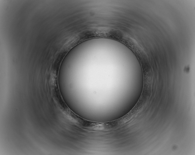 X0000097950083200804071016