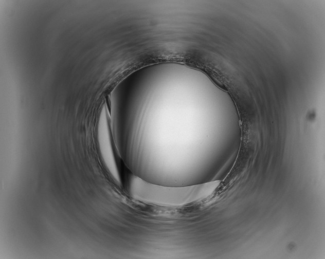 X0000097950084200804071016