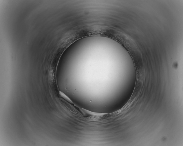 X0000097950086200804071016