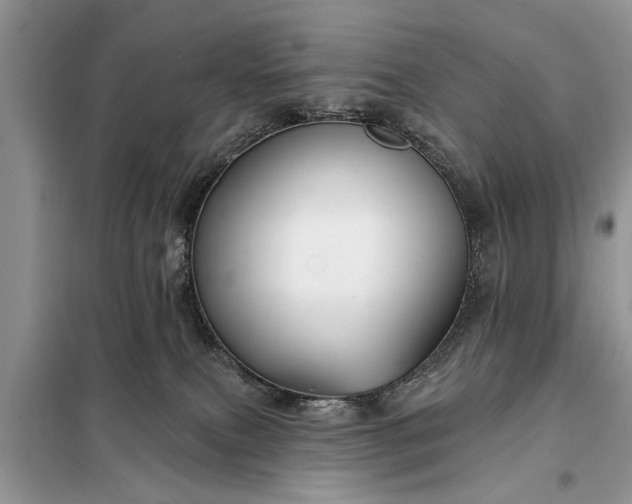 X0000097950087200804071016