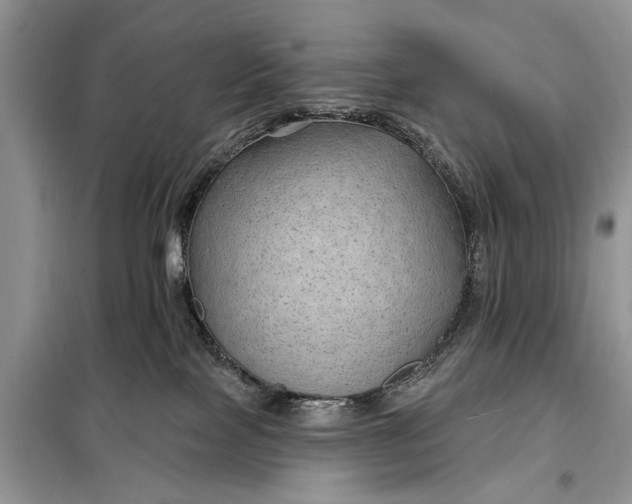 X0000097950089200804071016