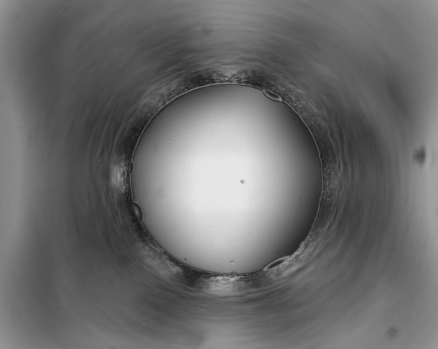 X0000097950090200804071016