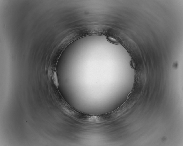 X0000097950091200804071016