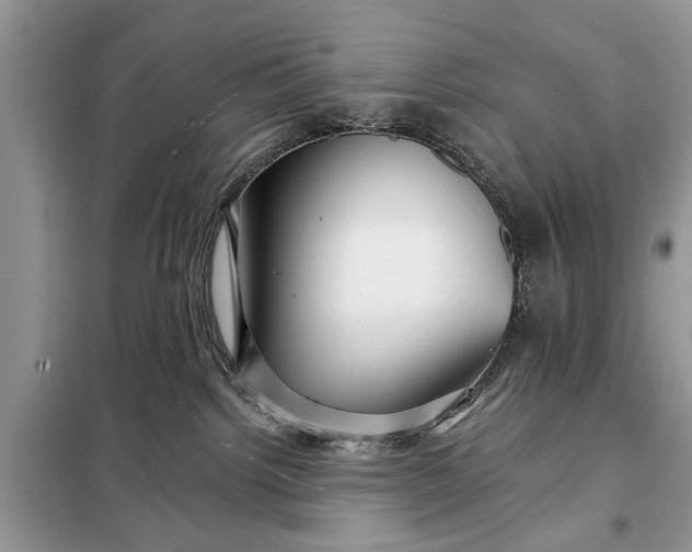 X0000097950092200804071016