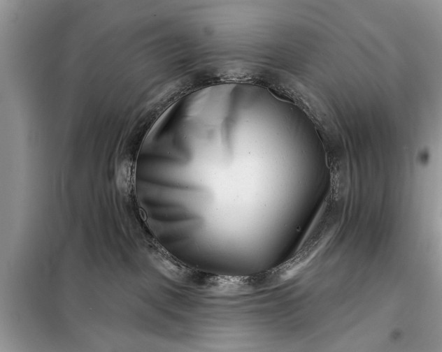 X0000097950093200804071016