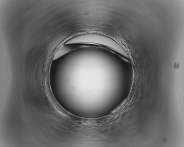 X0000097950097200804071015