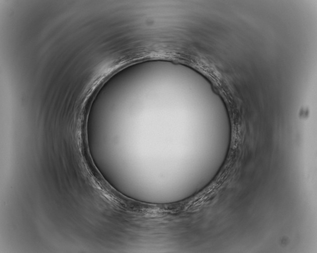 X0000097950098200804071015