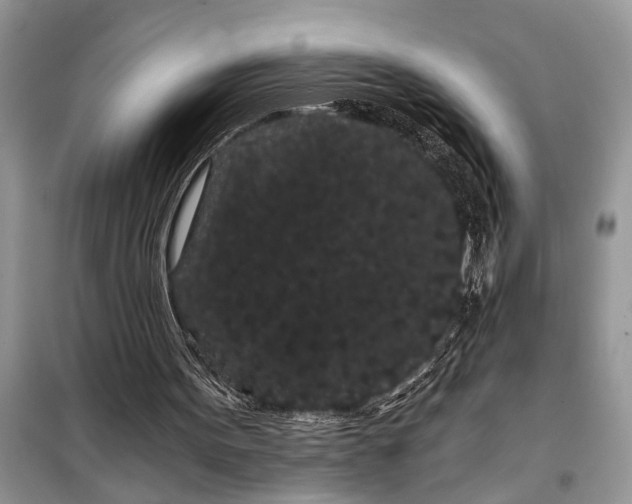 X0000097950099200804071015