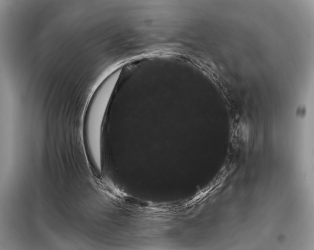 X0000097950100200804071015