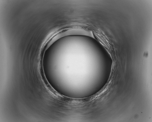 X0000097950101200804071015