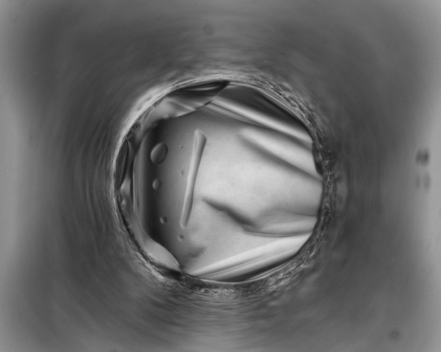 X0000097950104200804071015