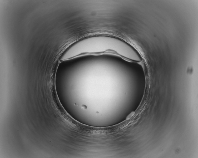 X0000097950105200804071015