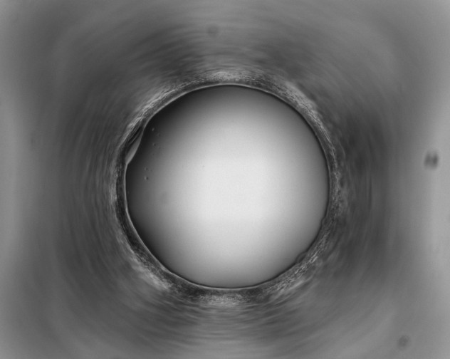 X0000097950106200804071015