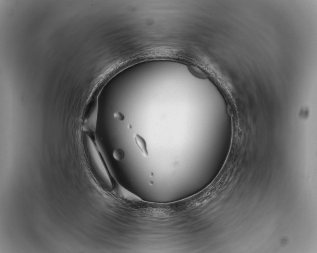 X0000097950107200804071015