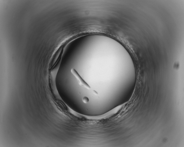 X0000097950108200804071015