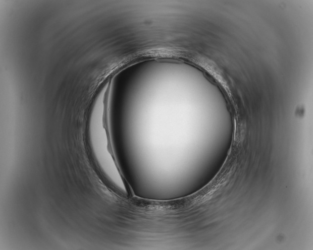 X0000097950109200804071015