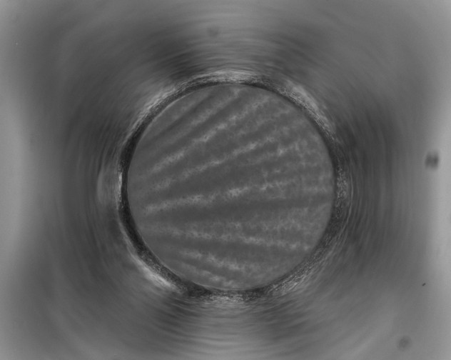 X0000097950110200804071015
