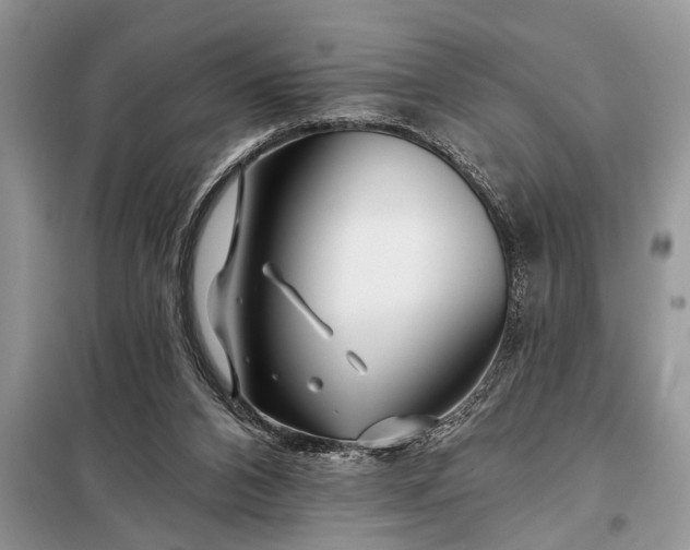 X0000097950112200804071015