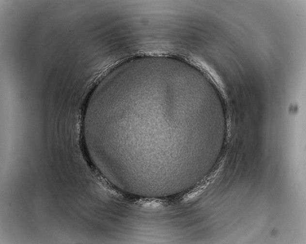 X0000097950113200804071015
