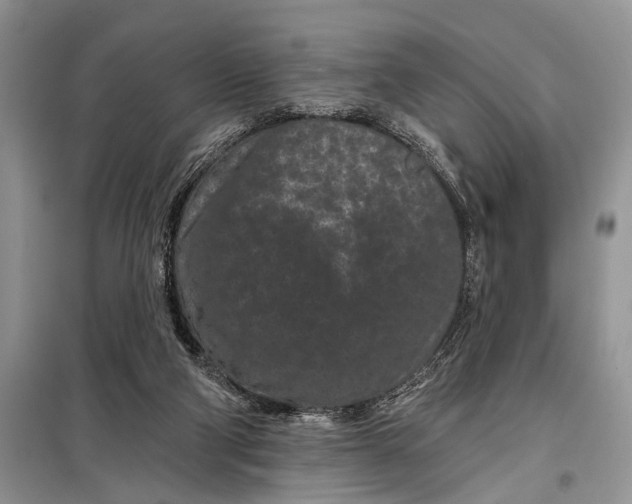 X0000097950114200804071015
