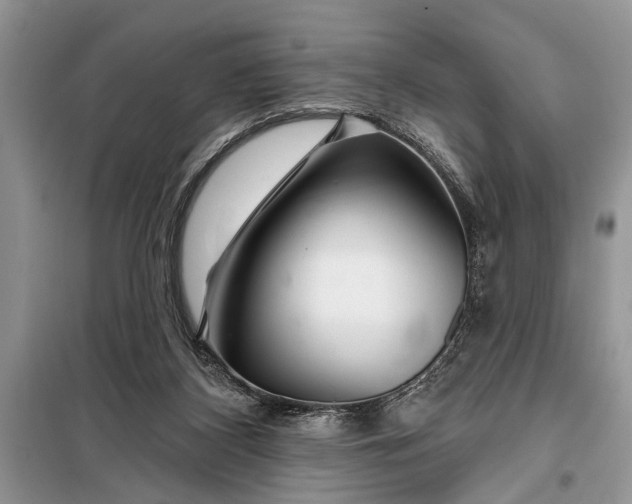 X0000097950116200804071015